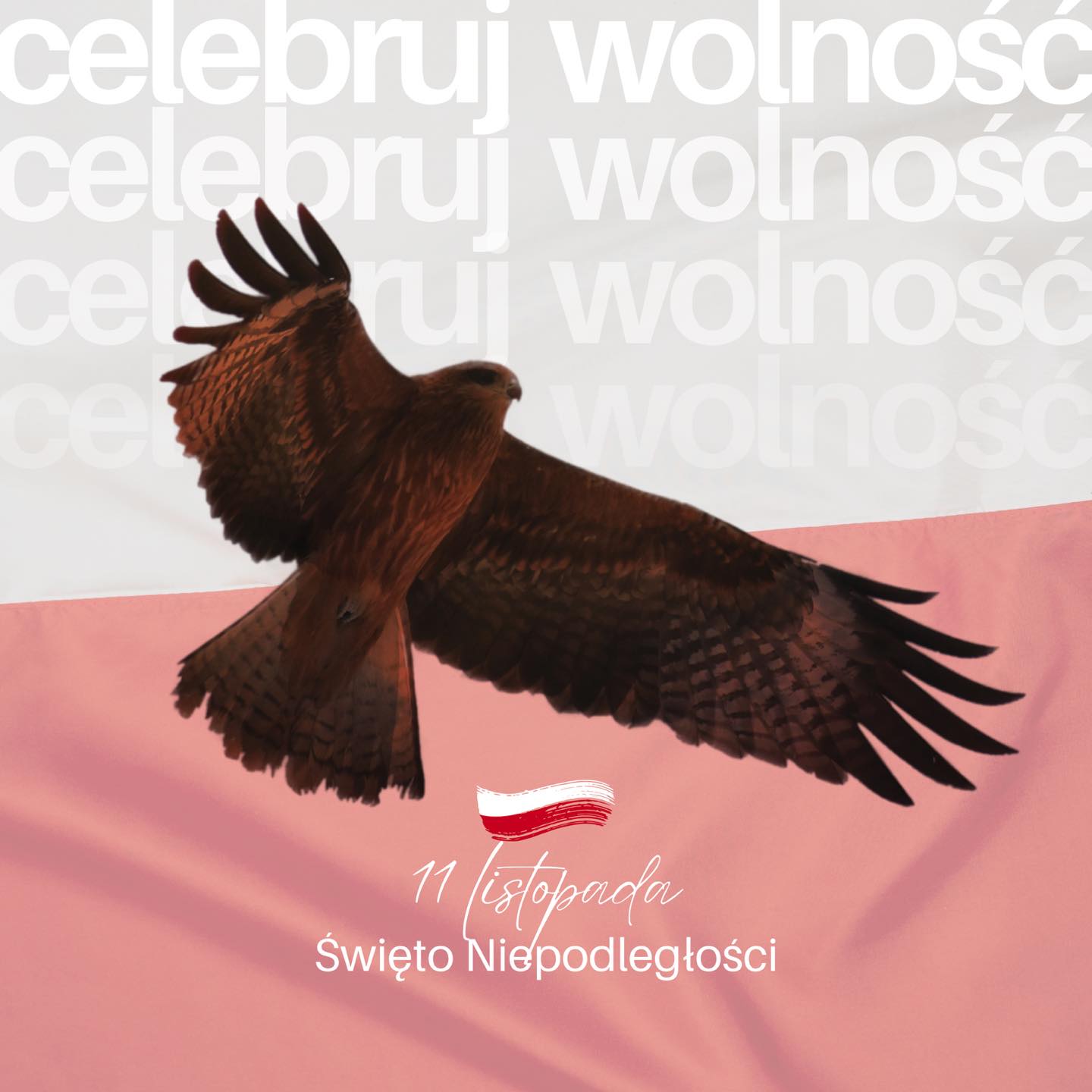 Ekotec | 11 listopada – Święto niepodległości